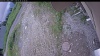 Web Cam Image - Sun, 06/28/2026 11:19am PDT