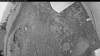 Web Cam Image - Sun, 07/05/2026 8:39pm PDT