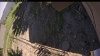 Web Cam Image - Tue, 07/01/2025 11:09am PDT