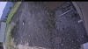 Web Cam Image - Wed, 05/20/2026 3:49pm PDT