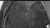 Web Cam Image - Fri, 06/12/2026 3:14am PDT