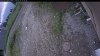 Web Cam Image - Mon, 06/29/2026 11:39am PDT