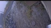 Web Cam Image - Mon, 10/20/2025 11:49am PDT