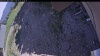 Web Cam Image - Mon, 06/01/2026 3:24pm PDT