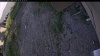 Web Cam Image - Wed, 06/24/2026 6:15pm PDT