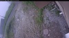 Web Cam Image - Thu, 07/02/2026 5:24am PDT