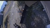 Web Cam Image - Wed, 10/07/2026 9:14am PDT