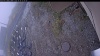Web Cam Image - Mon, 10/20/2025 11:44am PDT