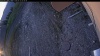 Web Cam Image - Tue, 05/12/2026 4:44am PDT