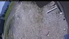 Web Cam Image - Fri, 05/22/2026 10:34am PDT