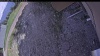 Web Cam Image - Sat, 05/23/2026 2:59pm PDT