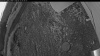 Web Cam Image - Fri, 06/12/2026 3:04am PDT