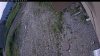 Web Cam Image - Thu, 06/25/2026 6:29am PDT
