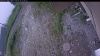 Web Cam Image - Thu, 07/02/2026 5:19am PDT