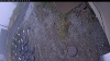 Web Cam Image - Mon, 10/20/2025 11:39am PDT