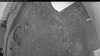 Web Cam Image - Sat, 06/13/2026 8:09pm PDT