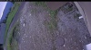 Web Cam Image - Mon, 06/08/2026 5:04am PDT