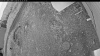 Web Cam Image - Sat, 06/13/2026 8:04pm PDT