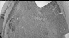 Web Cam Image - Fri, 06/19/2026 8:34pm PDT