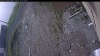Web Cam Image - Thu, 05/14/2026 7:34am PDT