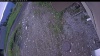 Web Cam Image - Mon, 06/08/2026 4:59am PDT