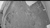 Web Cam Image - Fri, 06/19/2026 8:29pm PDT