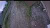 Web Cam Image - Mon, 06/29/2026 11:14am PDT