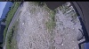 Web Cam Image - Tue, 07/07/2026 11:09am PDT