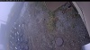 Web Cam Image - Mon, 10/20/2025 11:24am PDT