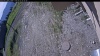 Web Cam Image - Tue, 06/02/2026 8:44am PDT