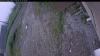 Web Cam Image - Sat, 06/27/2026 9:24am PDT