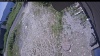 Web Cam Image - Tue, 07/07/2026 11:04am PDT