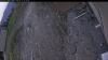 Web Cam Image - Mon, 05/11/2026 6:44pm PDT