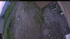 Web Cam Image - Fri, 06/12/2026 7:44pm PDT