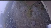 Web Cam Image - Mon, 10/20/2025 11:19am PDT