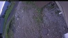 Web Cam Image - Mon, 06/08/2026 4:49am PDT
