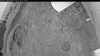 Web Cam Image - Thu, 06/25/2026 7:34pm PDT