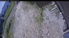 Web Cam Image - Tue, 07/07/2026 10:59am PDT