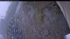 Web Cam Image - Mon, 10/20/2025 11:09am PDT