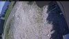 Web Cam Image - Sun, 05/31/2026 12:04pm PDT