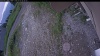 Web Cam Image - Thu, 07/02/2026 4:44am PDT