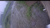 Web Cam Image - Thu, 07/02/2026 3:49pm PDT
