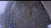 Web Cam Image - Mon, 10/20/2025 11:04am PDT