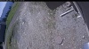 Web Cam Image - Fri, 05/22/2026 9:54am PDT