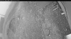 Web Cam Image - Wed, 06/17/2026 3:44am PDT
