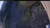 Web Cam Image - Mon, 06/22/2026 3:24am PDT