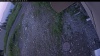Web Cam Image - Sun, 07/05/2026 7:39pm PDT