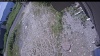 Web Cam Image - Tue, 07/07/2026 10:44am PDT