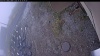 Web Cam Image - Mon, 10/20/2025 10:59am PDT