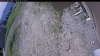 Web Cam Image - Wed, 06/03/2026 10:14am PDT